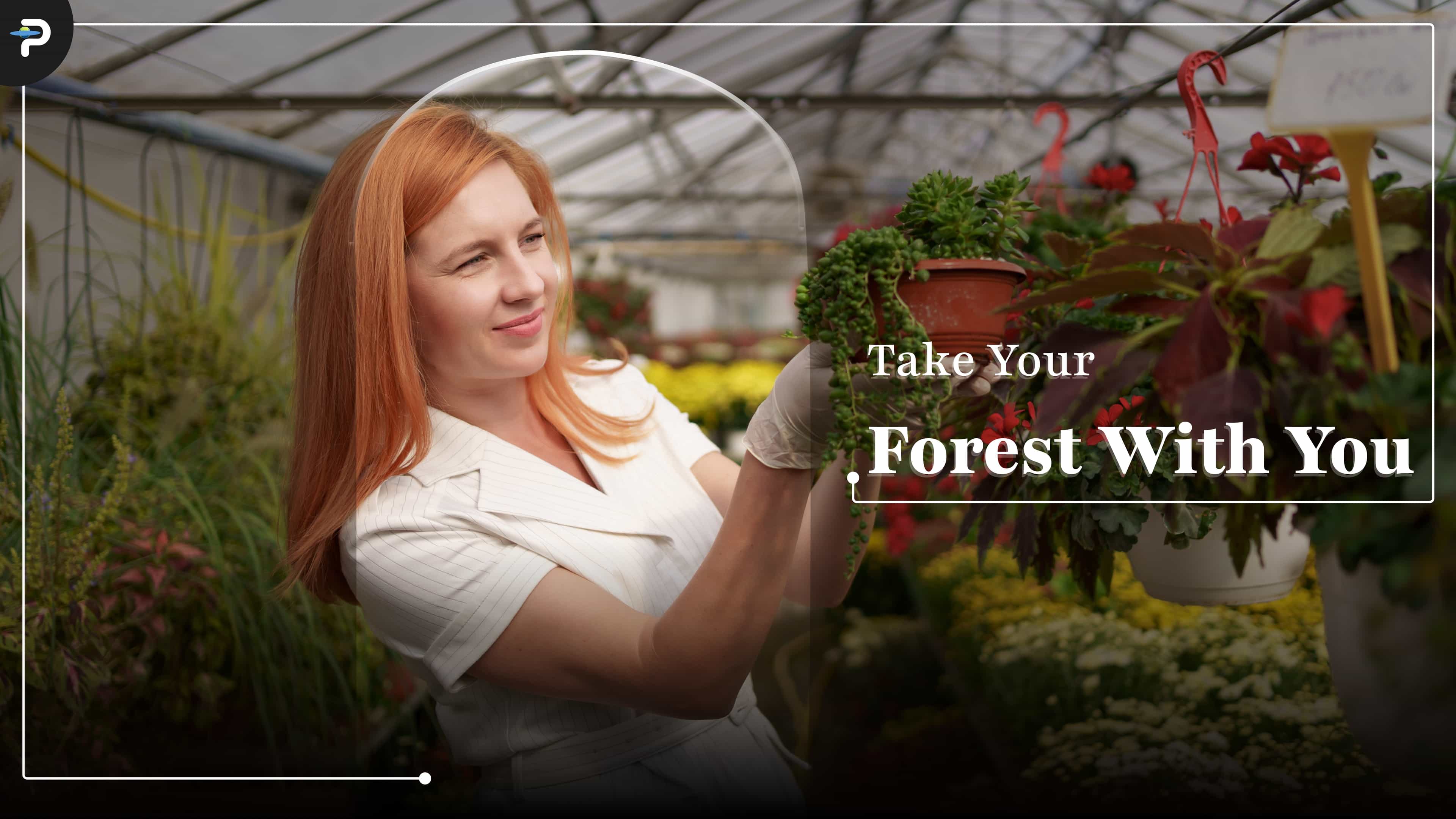 Rental-Safe Permaculture: How to grow a high-yield food forest in a balcony